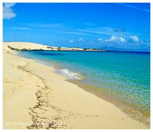 noleggio auto fuerteventura senza carta di credito